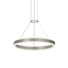  2303.16-J20 - 24" LED Ring Pendant