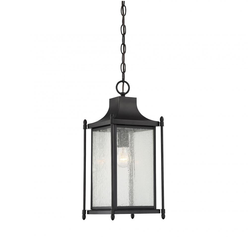 Dunnmore 1-Light Outdoor Hanging Lantern in Black