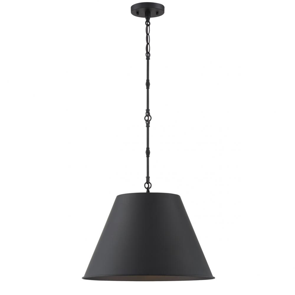 Alden 1-Light Pendant in Matte Black