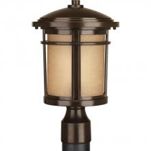  P6424-20 - Wish Collection One-Light Post Lantern