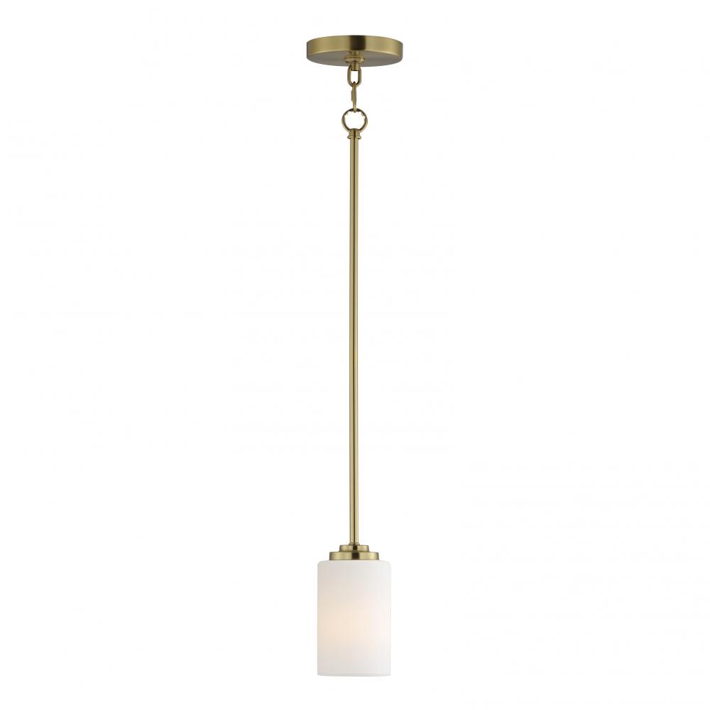 Deven-Suspension Pendant