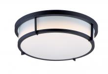  10274WTBK - Rogue LED-Flush Mount