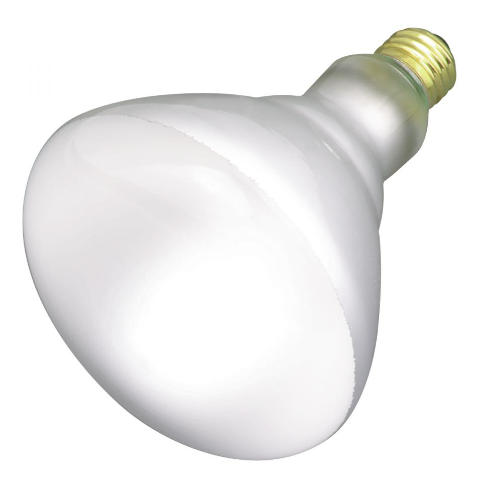 65 Watt BR40 Incandescent; Frost; 2500 Average rated hours; 540 Lumens; Medium base; 130 Volt;