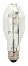 Metal Halide Bulbs