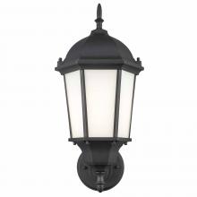 Trans Globe 4095 BK-FR - Outdoor Wall Lights Black