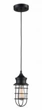  PND-1028 - 1LT MINI PENDANT-INDUSTRIAL CA