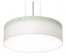  ANP1932LAJUDSN-LW - Anton 19'' LED Pendant - SN and LW