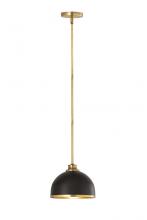  1004P10-MB-RB - 1 Light Pendant