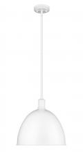  4500P12-SW - 1 Light Pendant