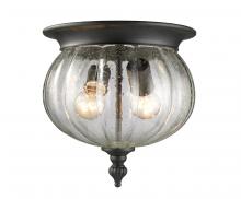  516F-BK - 2 Light Outdoor Flush Mount