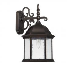  9833OB - 1 Light Outdoor Wall Lantern