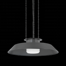  8832-DB - Woodrow Pendant