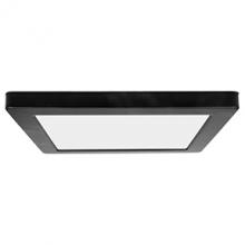  20834LEDD-BL/ACR - LED Flush Mount