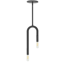  WAN-152P-MB - 2 Light Incandescent Matte Black Pendant