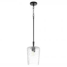  3204-59 - Goodwin 8 inches Pendant, Matte Black