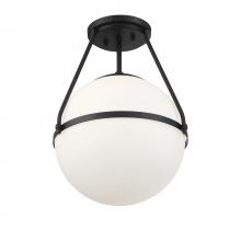  M60054MBK - 1-Light Ceiling Light in Matte Black