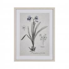  S0056-10634 - Daffodil Botanic Framed Wall Art